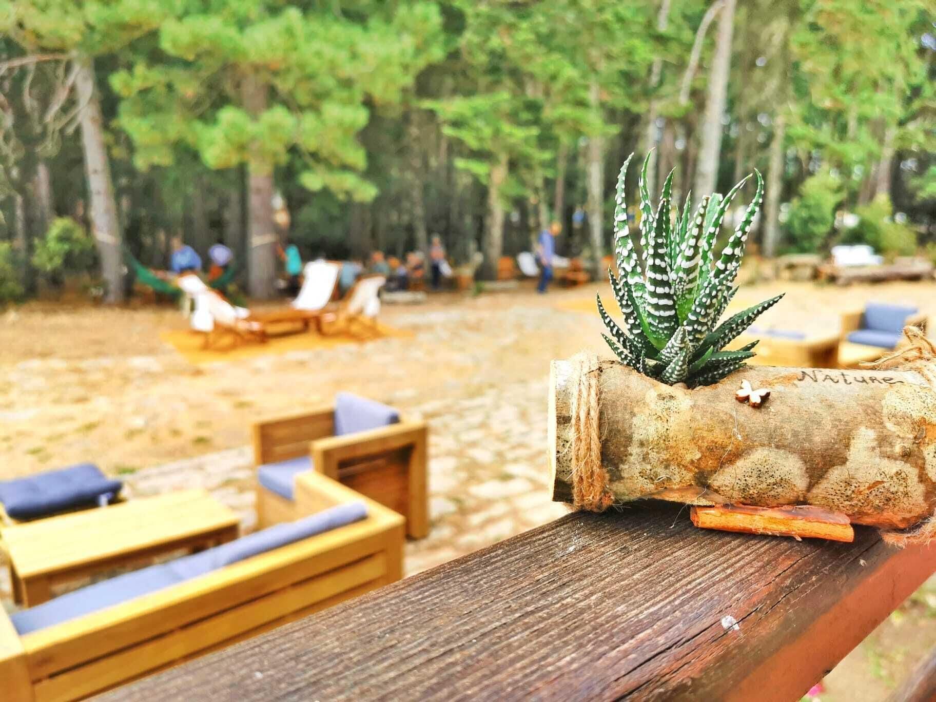 Vallicciola Nature Hotel Tempio Pausania Eksteriør bilde